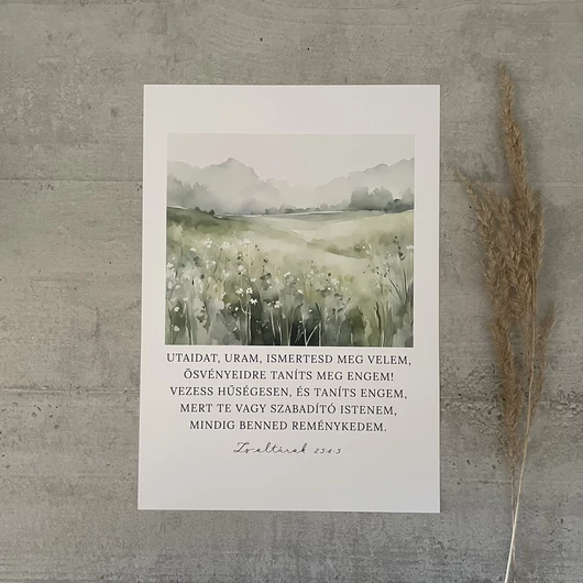 igés print